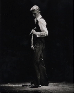 Thin White Duke