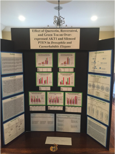 Stellie Leibowitz and Sam Snedeker’s poster for the NJ Regional Science Fair. Photo Credit: Stellie Leibowitz