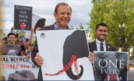 Senator Lesniak holding a sign advocating for elephants’ welfare. Picture courtesy of Senator Lesniaks Website: http://raymondlesniak.com/noseyslaw/