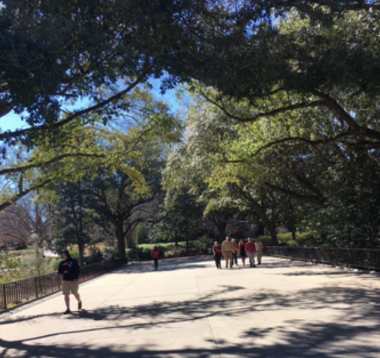 Walking around the University of South Carolina. Photo by Olivia Lein. 