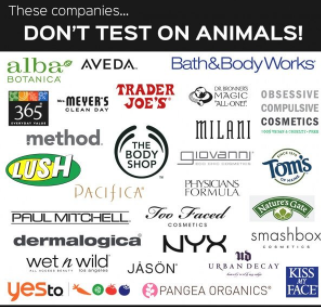 The infographic shows all companies that do not test on animals. Photo by PETA.