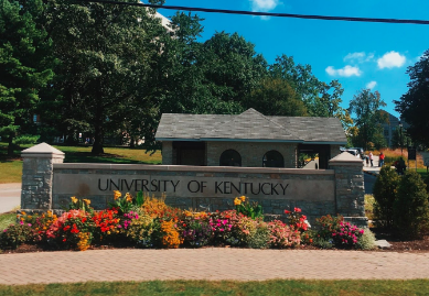 Become a Wildcat at University of Kentucky
