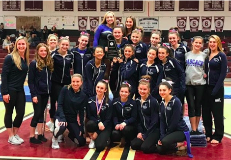 The Pascack Regional Gymnastics Team posing after winning the county tournament. (Photo by Karen Mendez of Ridgewood)