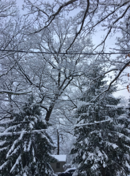 Winter recognition