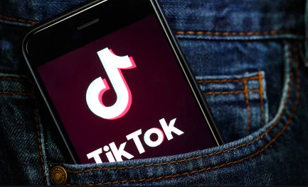 Tik Tok security