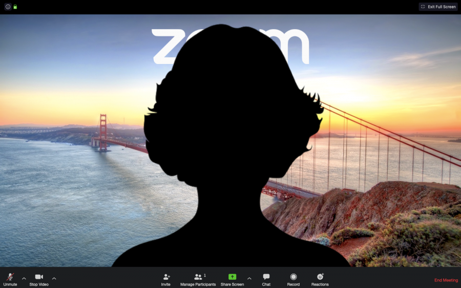 A silhouette in front of a common virtual background offered by Zoom, a video conferencing service. Some students choose to turn off their camera or mute their microphone during virtual classes.