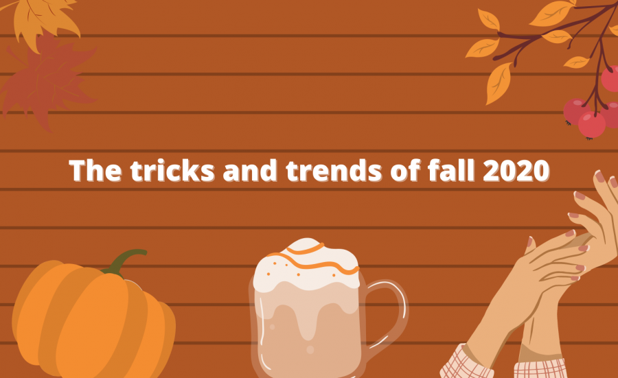 There are thousands of new and surprising treats that have been flavored to match the fall season.